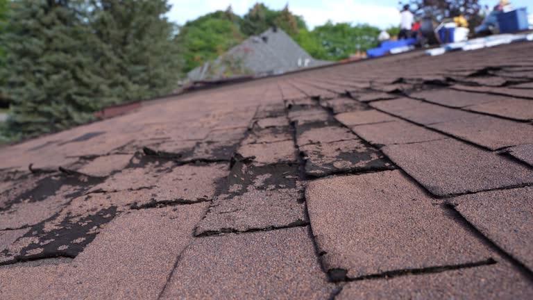 Best Storm Damage Roof Repair  in Bayboro, NC